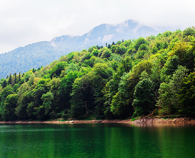 enjoy piva lake