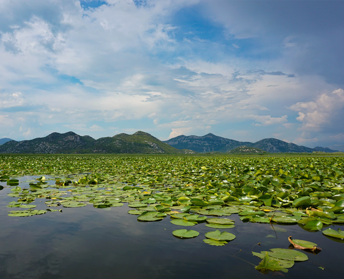 kayaking on lake skadar